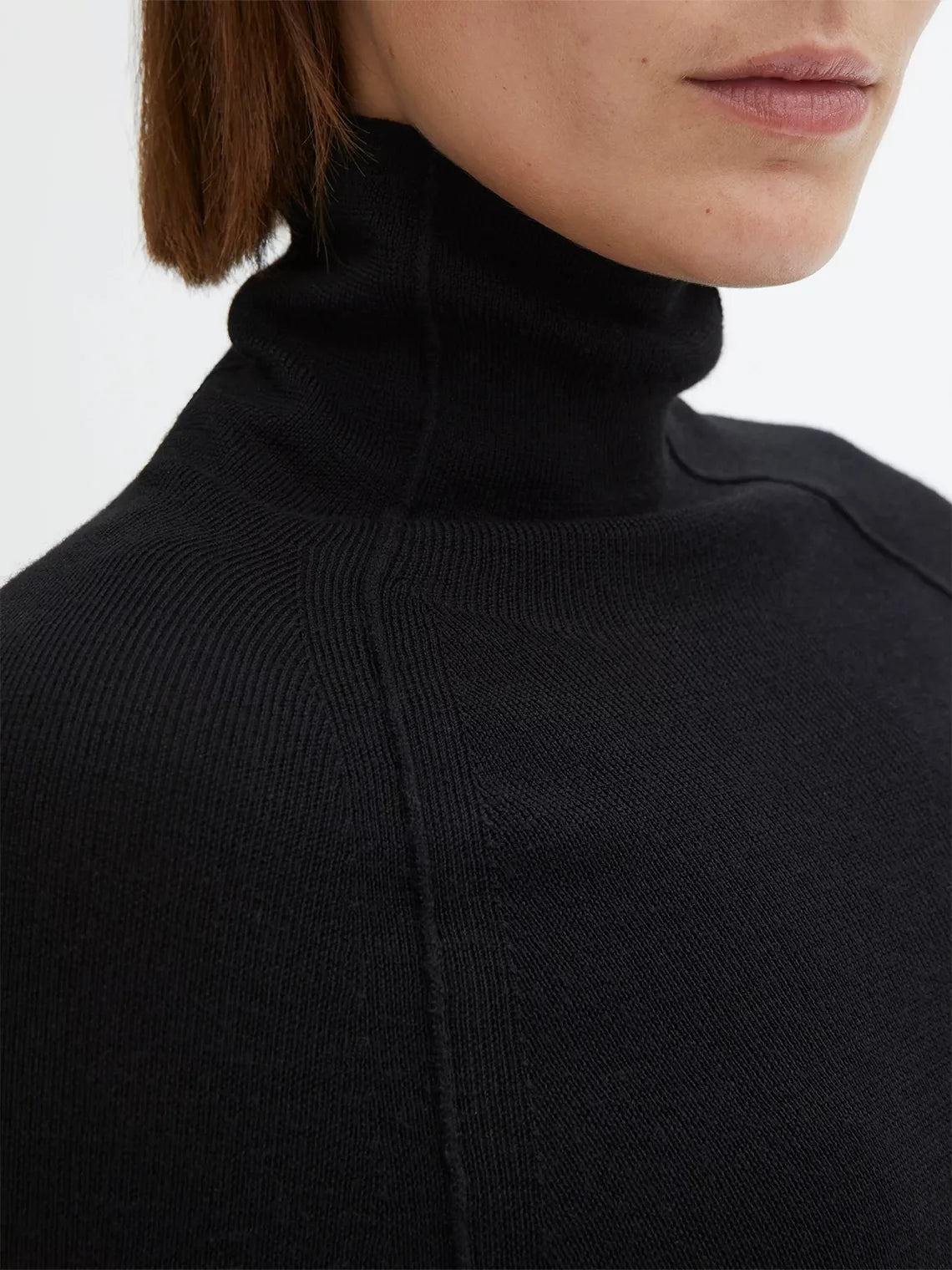 Merino Turtleneck Sweater
