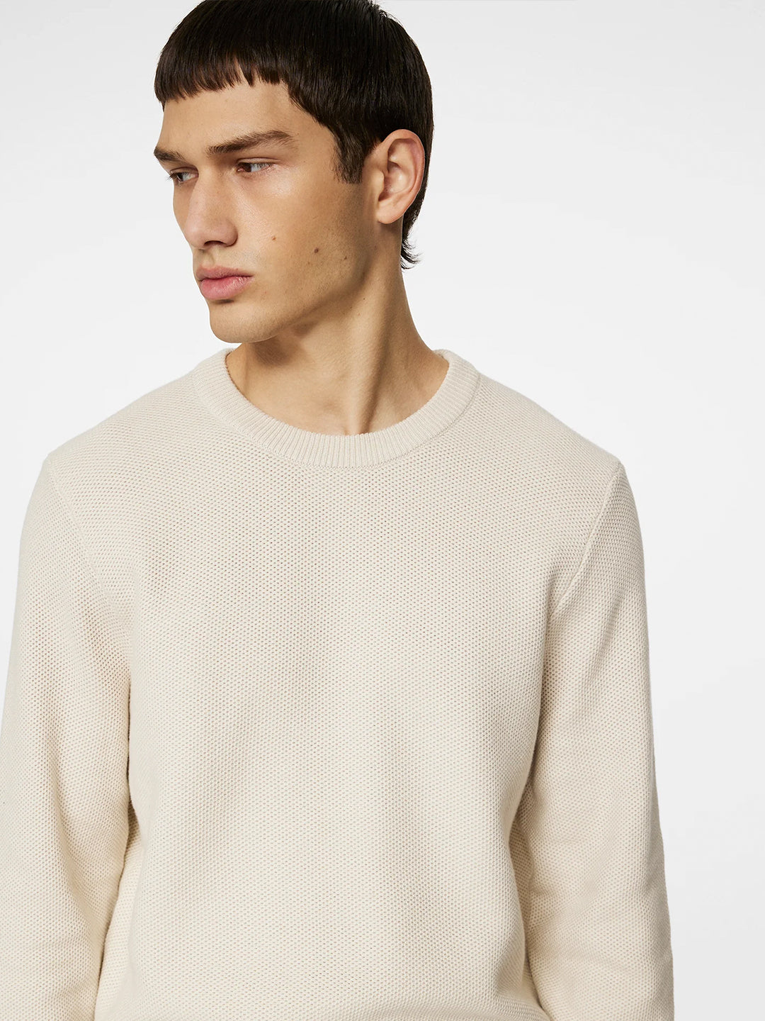Arthur Knit Organic Cotton