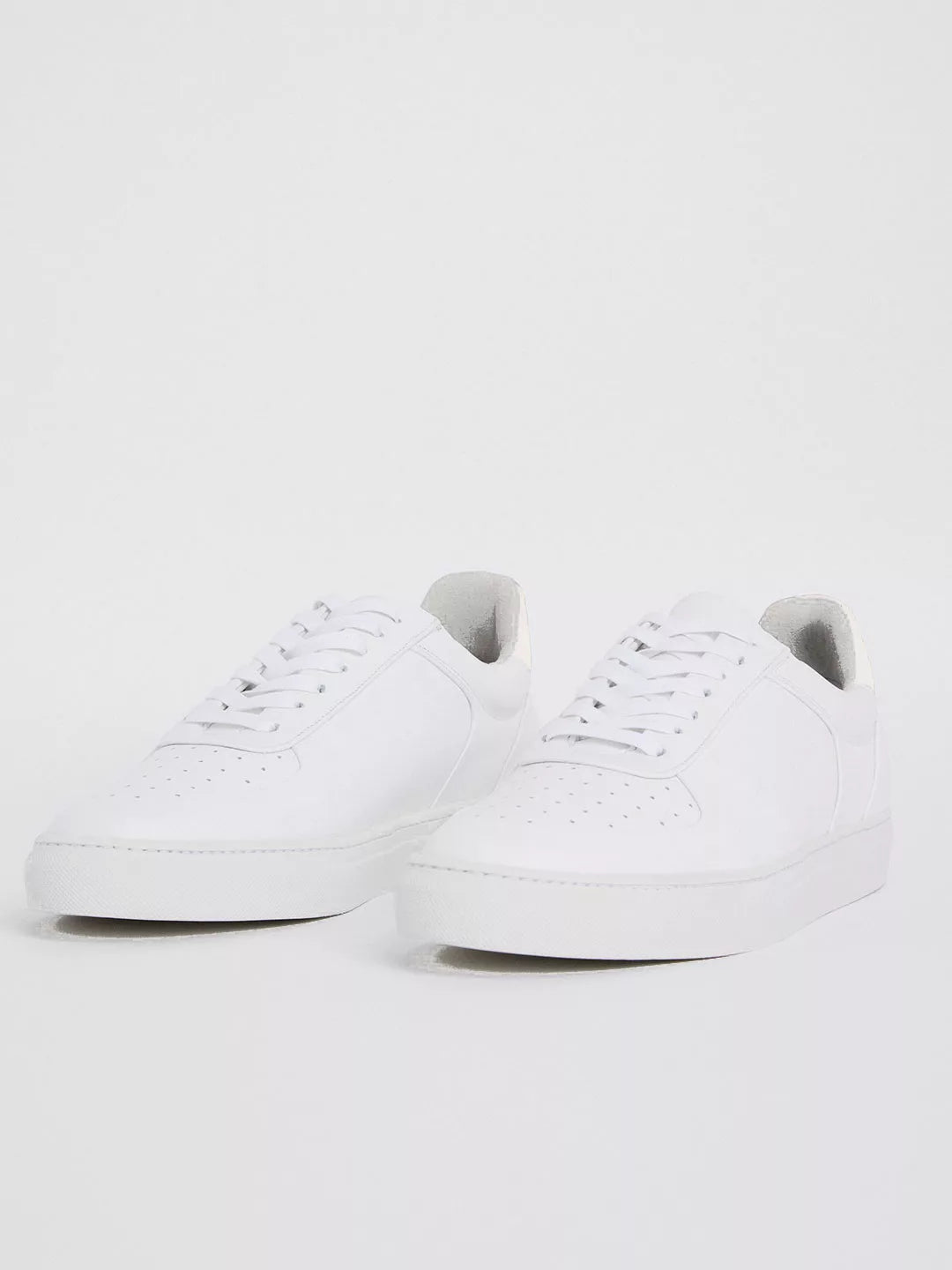 Robert Sneaker
