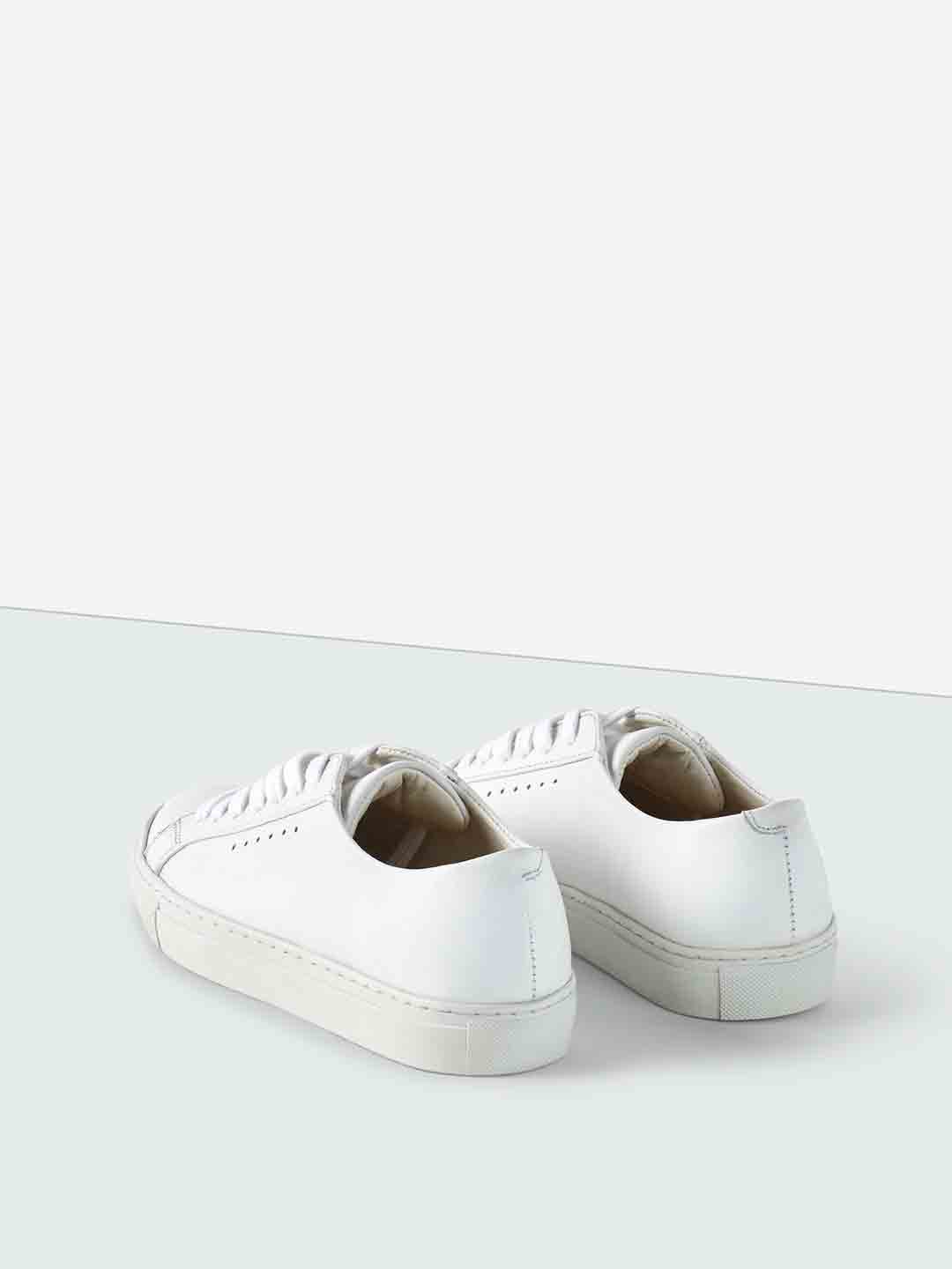 Kate Low Sneaker