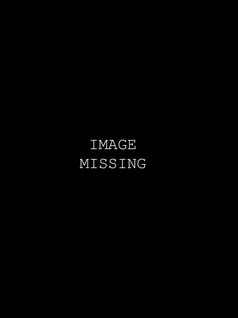 image_missing